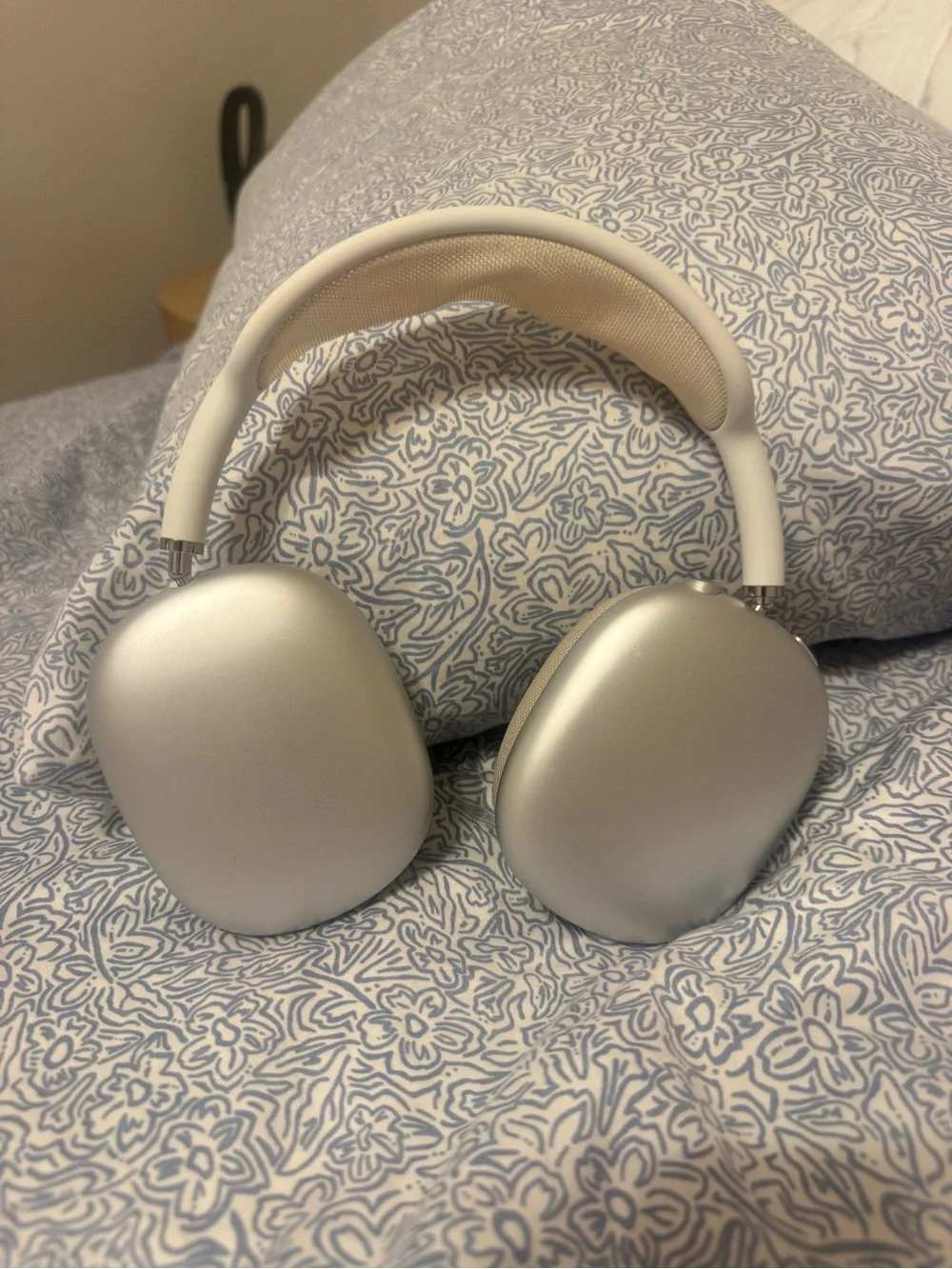 Apple Silver Over-Ear Headphones